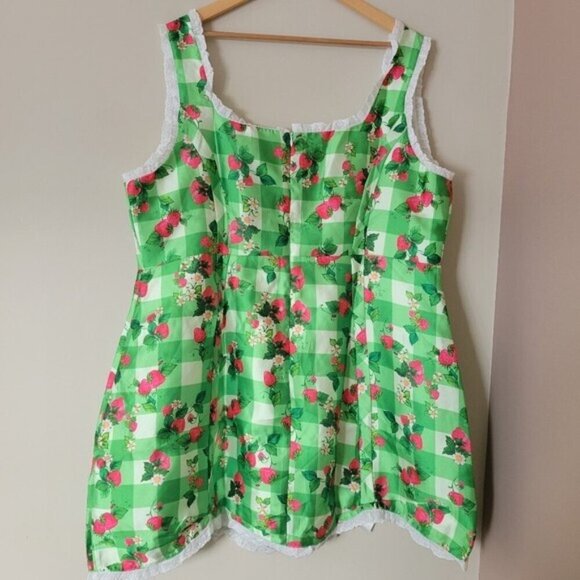 NWT Dolls Kill x Strawberry Shortcake Zing In Spring Mini Dress Gingham Size 3X - Picture 2 of 8